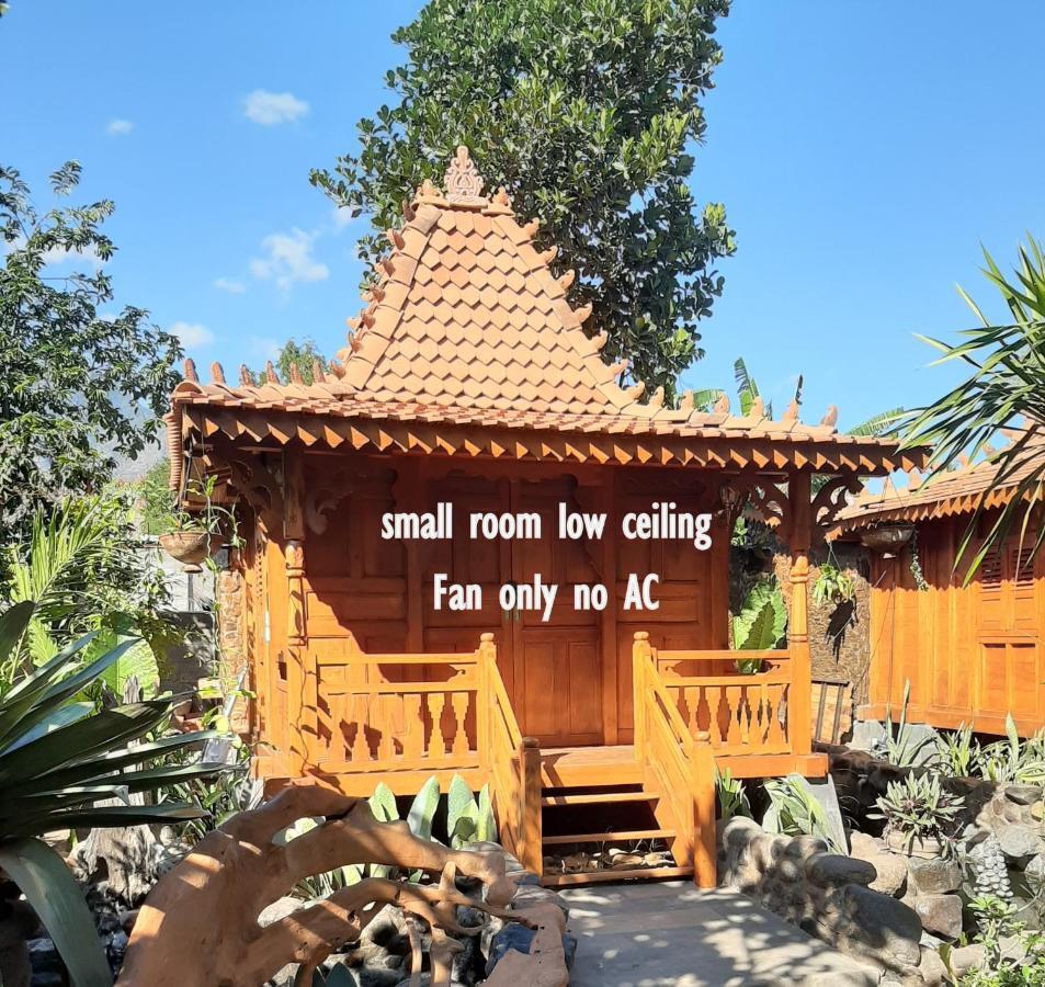 Hibiscus House Pemuteran Bali Hotel Exterior foto